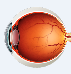 ayurvedic treatment for cataract eye in kerala