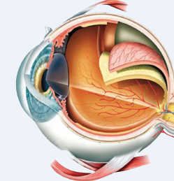 ayurvedic treatment for myopia in kerala