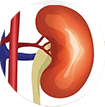 ayurvedic treatment for kidney damage in kerala