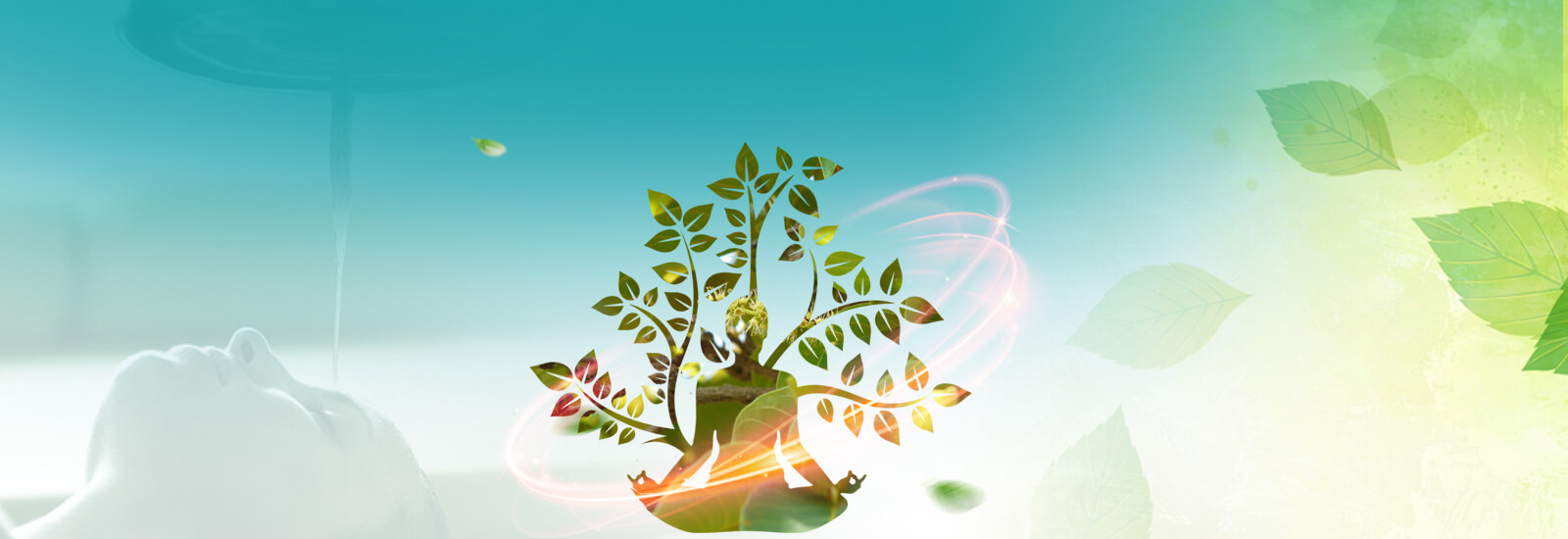 Ayurvedic herbal treatment in kerala