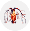 AGNI PANACEA AYURVEDA - Organ