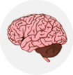 AGNI PANACEA AYURVEDA - Organ