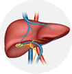 kidney stone ayurvedic treatment in kerala