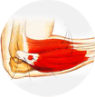 Ayurveda hospitals in Ernakulam