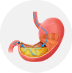 Ayurvedic herbal treatment in kerala