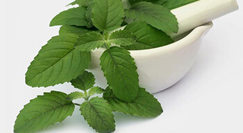 Virechana ayurveda treatment