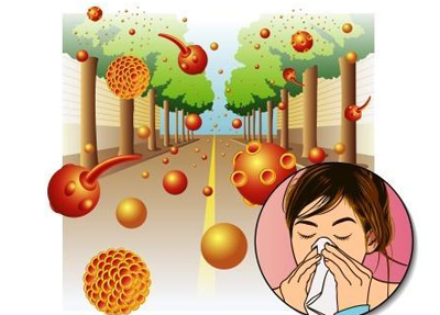 Virechana ayurveda treatment in kerala