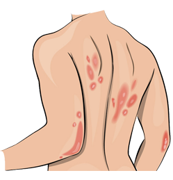 Agni Panacea Ayurveda