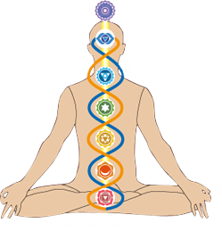 Agni Panacea Ayurveda